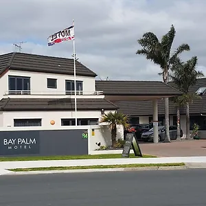 Bay Palm **** Mount Maunganui